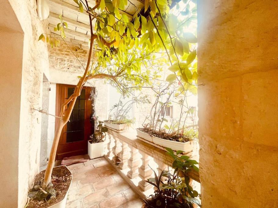 Апартаменты Evasion Urbaine**** Ним Экстерьер фото